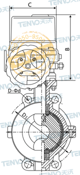 D971F46对夹式电动衬氟蝶阀结构图