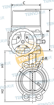 D971F电动四氟蝶阀结构图