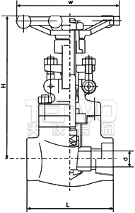 螺纹_承插焊锻钢闸阀结构图