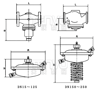 V130/131自力式流量调节阀结构图