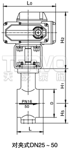 对夹式电动V型球阀结构图