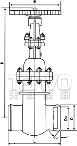 对焊式真空隔离闸阀结构图