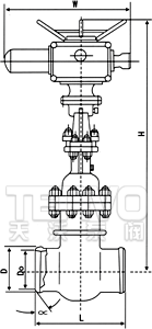 电动对焊式真空隔离闸阀结构图