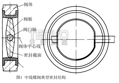 中线蝶阀典型密封结构